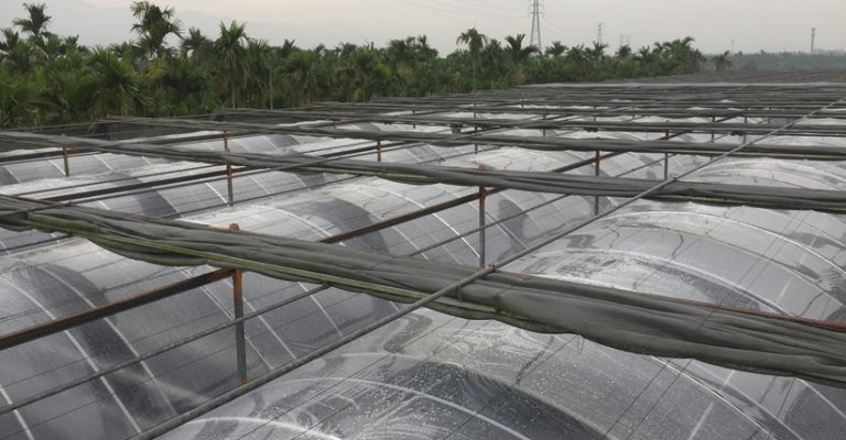 ETFE(F-clean)溫室