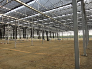 Steel frame material for greenhouse