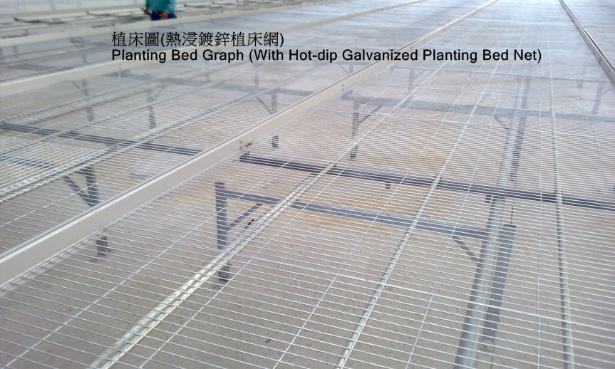 Hot-dip galvanized expended metal mesh 2