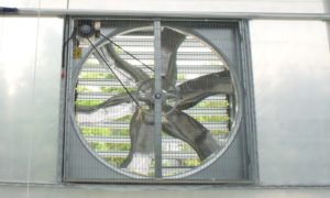 Exhaust Fan