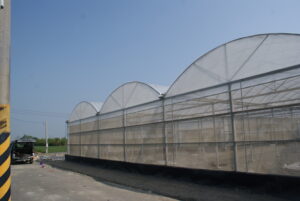 Dome Type Greenhouse